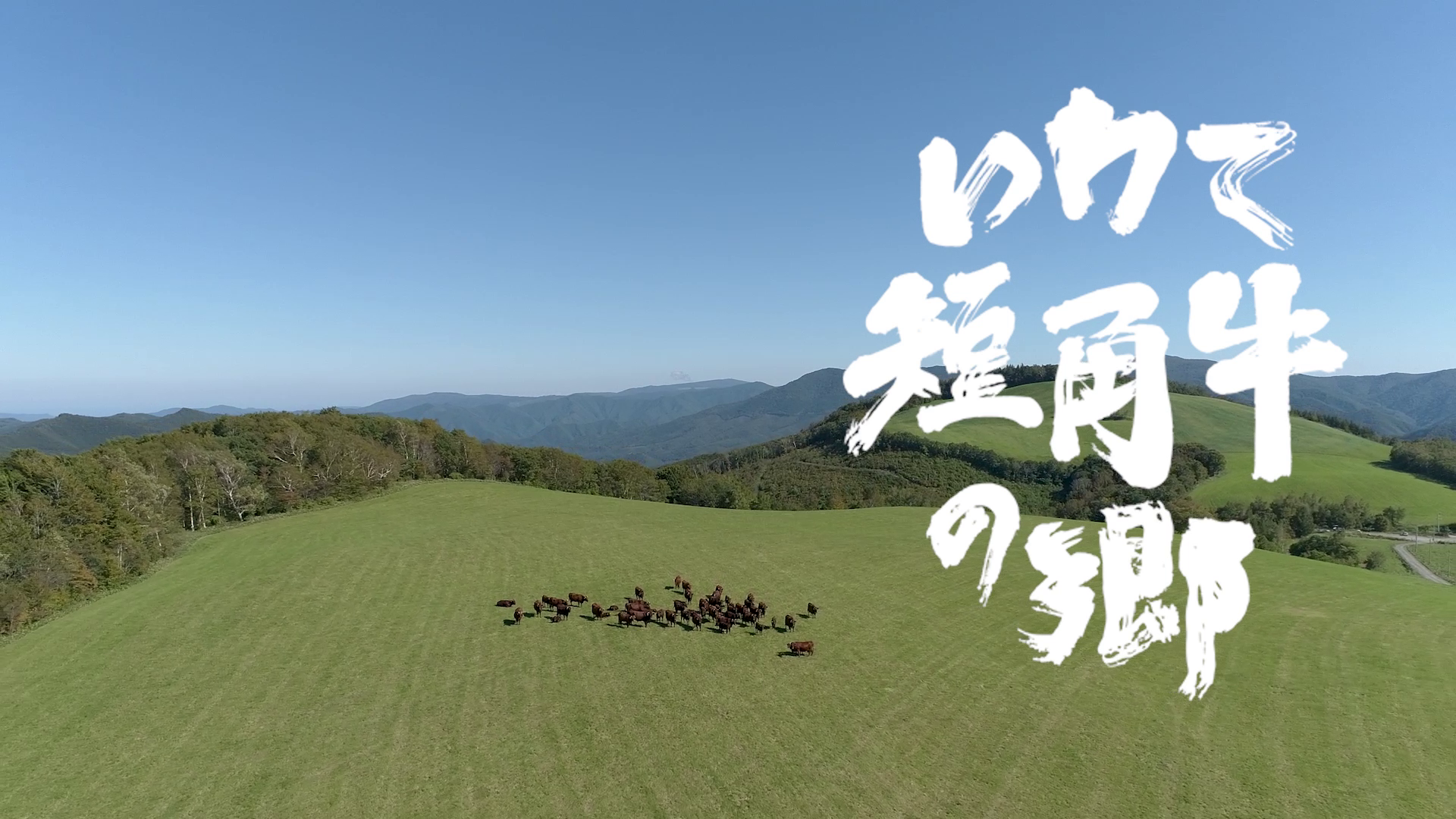動画公開中「いわて短角牛の郷-夏山の風景-」　※画像をクリックするとYoutubeリンク先で視聴できます。