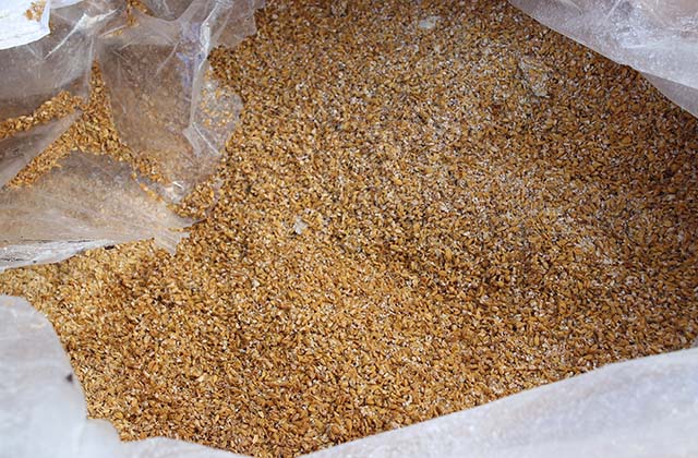 市内の稲作農家が生産する「籾米SGS」。この他にも国産飼料にこだわり使用